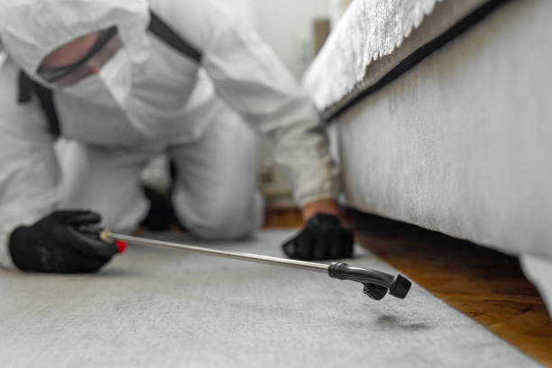 Professional Termite Control technician working in Waldo, AR